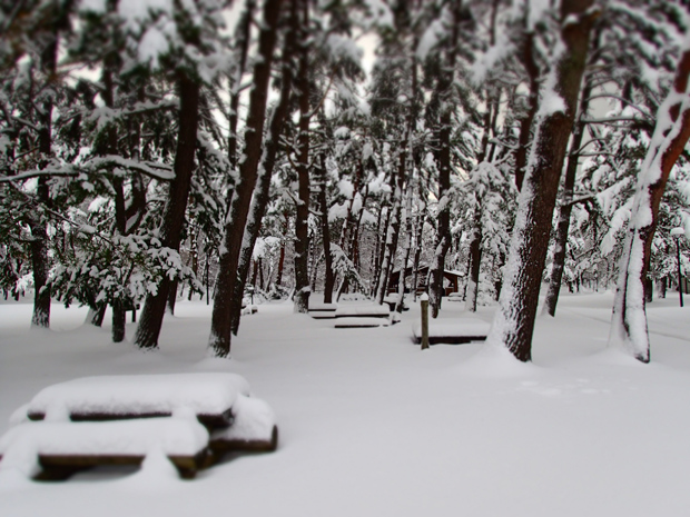 f0214649_3124326.jpg