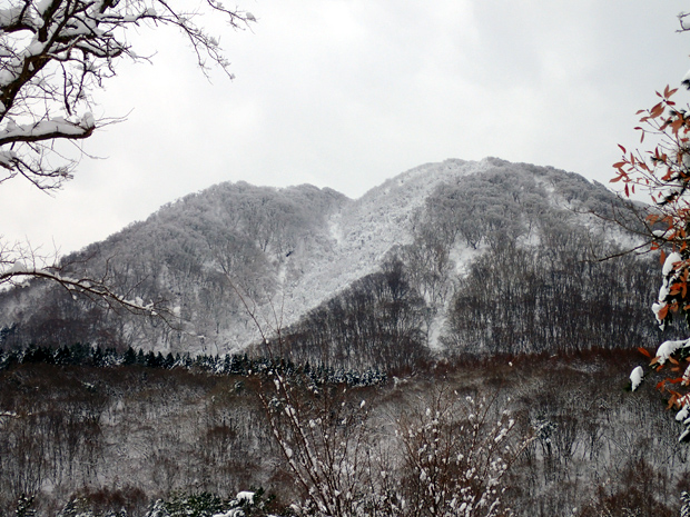 f0214649_3155392.jpg