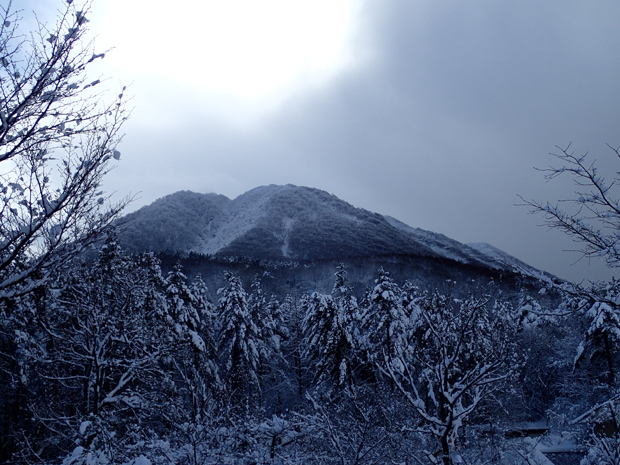 f0214649_395927.jpg