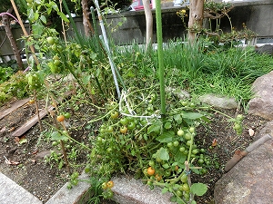 d0138650_0103738.jpg
