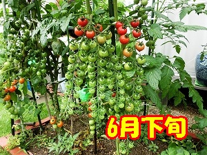 d0138650_0272781.jpg