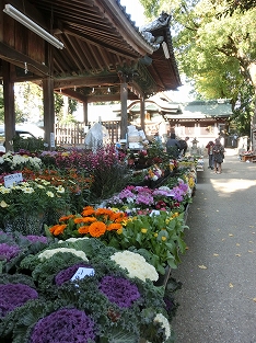d0138650_20123311.jpg
