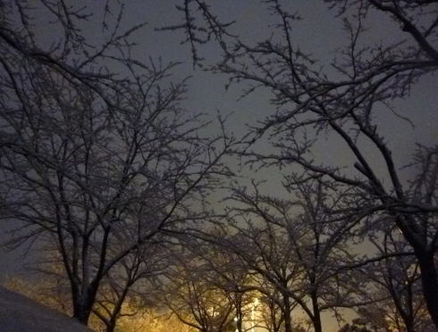 e0002850_213347.jpg