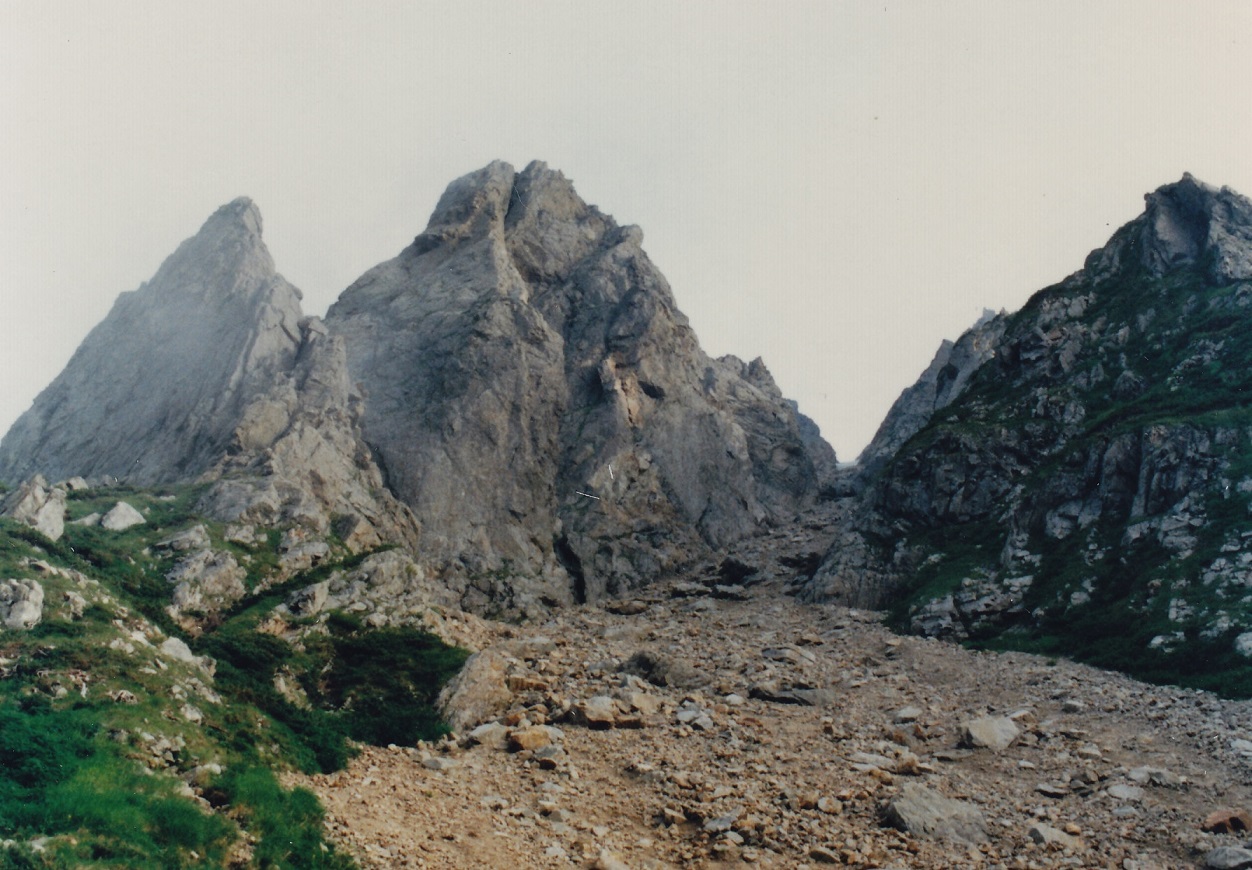 a0286351_011464.jpg
