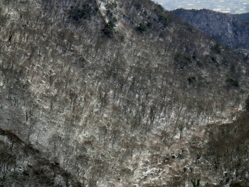 c0179351_18050279.jpg