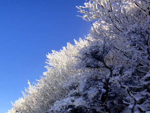 c0179351_18064491.jpg
