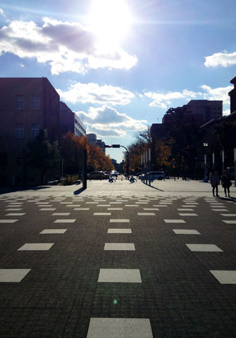 a0001756_0513064.jpg