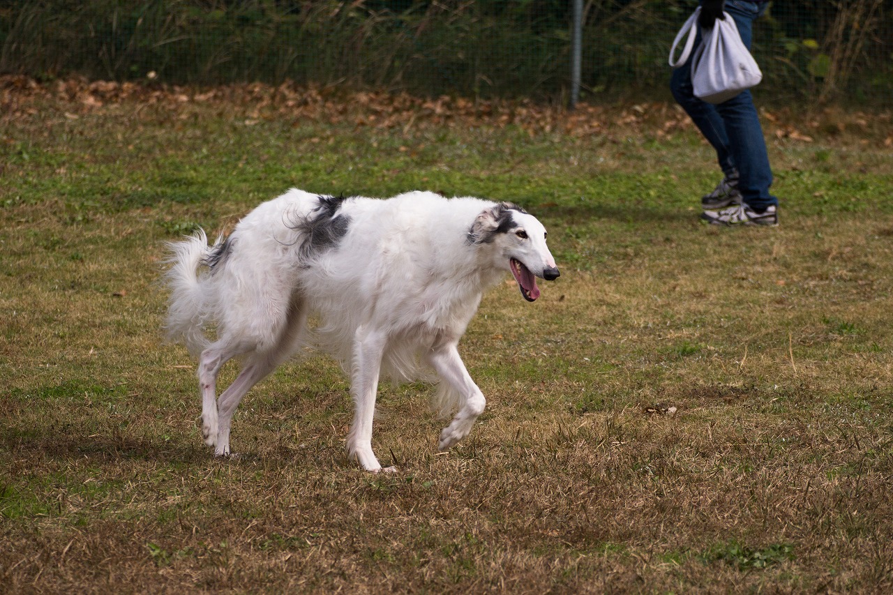 c0260264_16264614.jpg