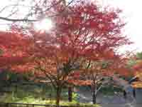 c0117570_15142840.jpg