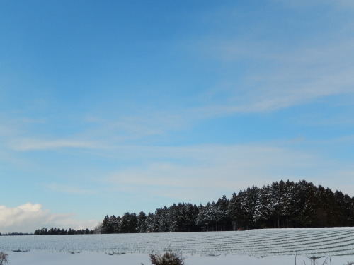 a0240573_13310474.jpg