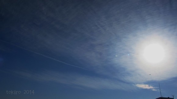 b0326576_20591601.jpg