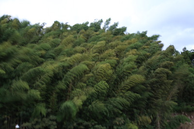 f0037378_19334277.jpg
