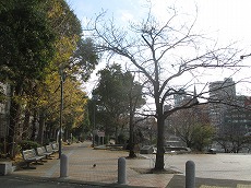 a0142083_23145530.jpg