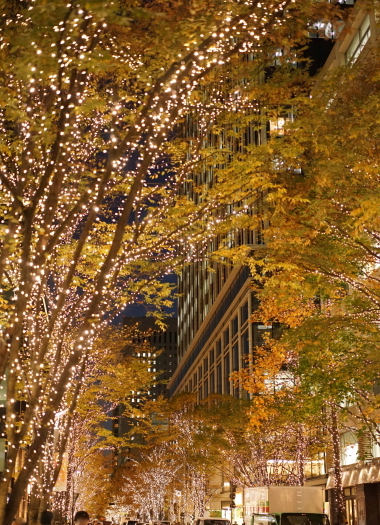 a0198883_22435620.jpg