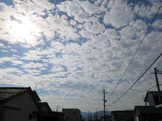 e0130185_11495431.jpg