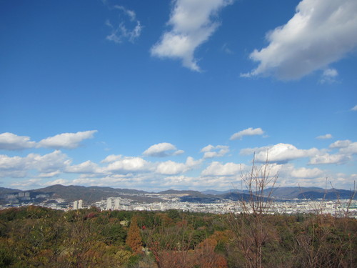 a0251786_105394.jpg