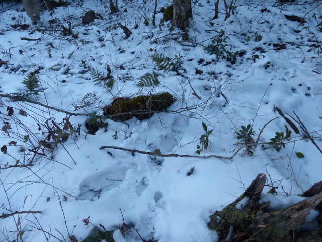 f0357487_2236412.jpg