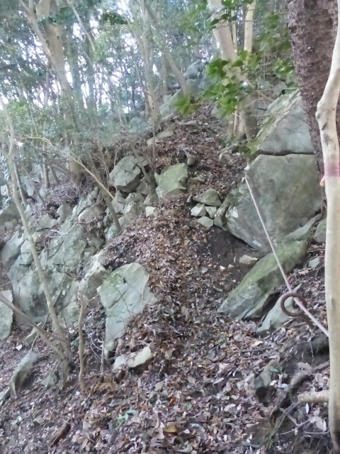 f0357487_22382420.jpg