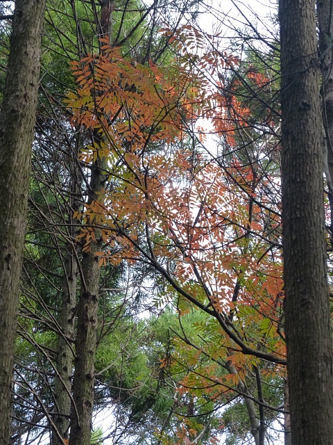 f0357487_22433219.jpg
