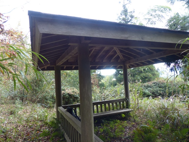 f0357487_22445263.jpg