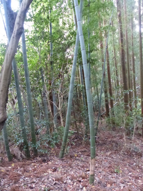 f0357487_2244579.jpg