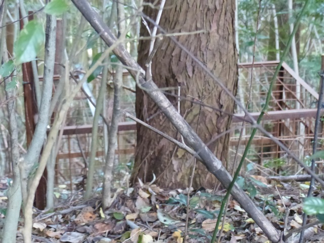 f0357487_22454127.jpg