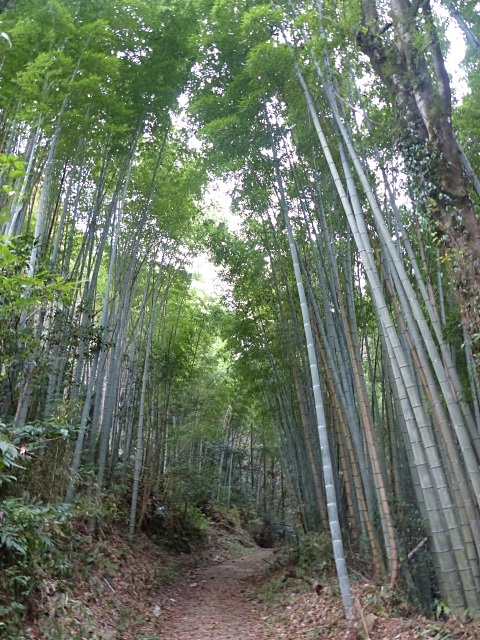 f0357487_2249459.jpg