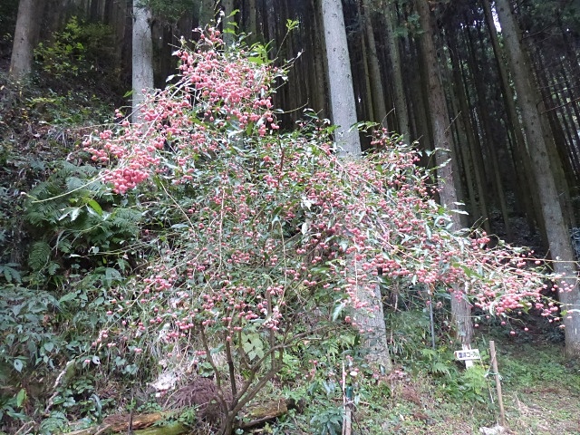 f0357487_2250293.jpg