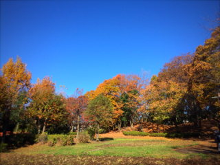 f0110089_23173265.jpg