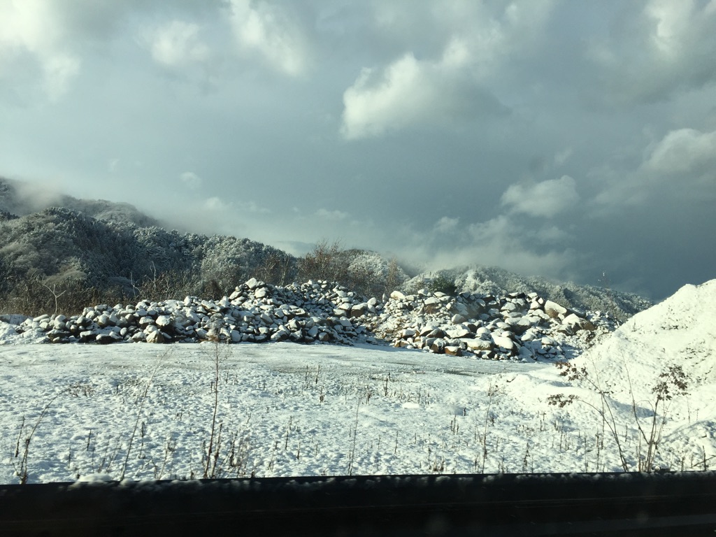 c0042491_209334.jpg