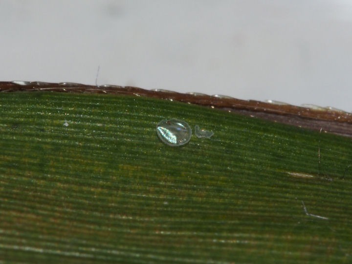 b0194593_8445945.jpg