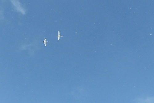 d0021097_00085163.jpg