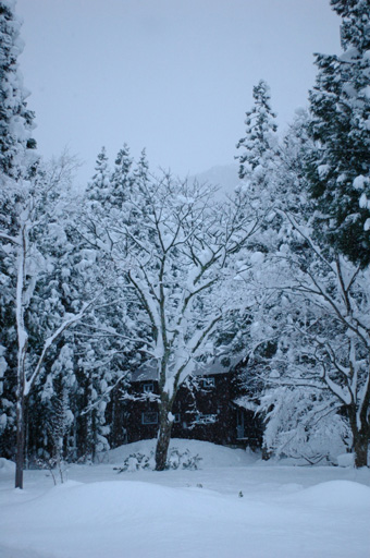 a0061599_73225.jpg