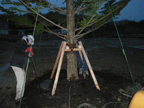 b0197306_21422566.jpg