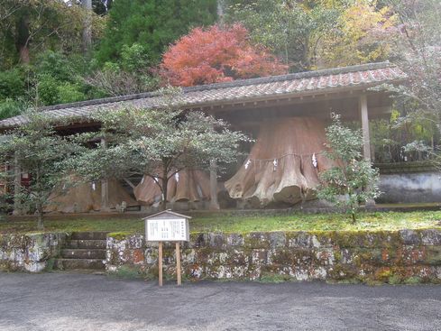 c0149408_08383935.jpg