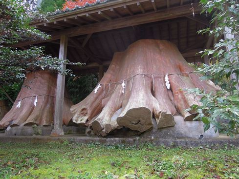 c0149408_08384280.jpg