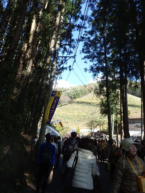 f0043911_0515172.jpg