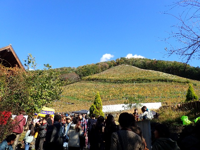 f0043911_052438.jpg