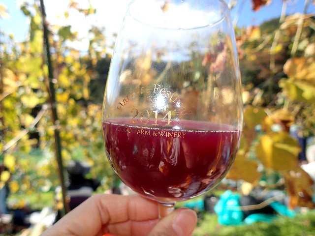f0043911_0563829.jpg