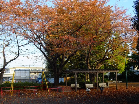 b0309813_6535759.jpg