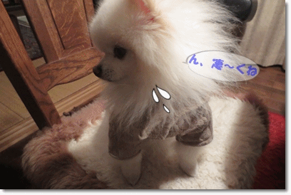 b0167519_2014288.gif