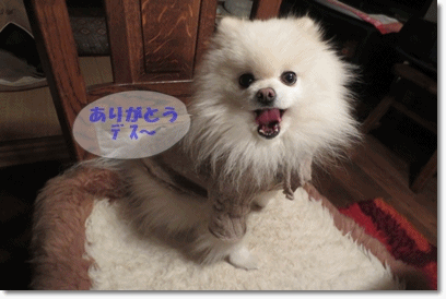b0167519_203112.gif