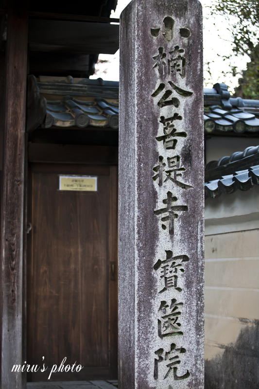 c0037519_23474794.jpg