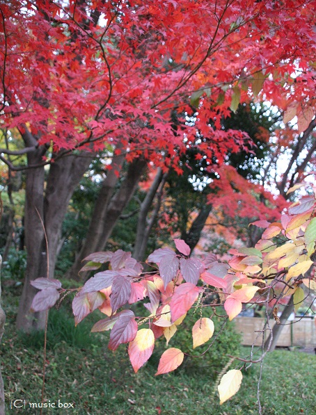 c0071221_1244636.jpg