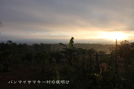 d0042827_23353118.jpg