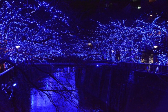 f0124830_1573820.jpg