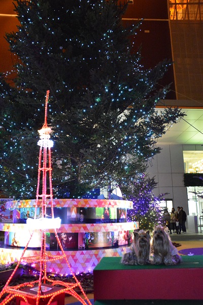 f0124830_272999.jpg