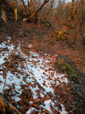 e0272335_19111463.jpg