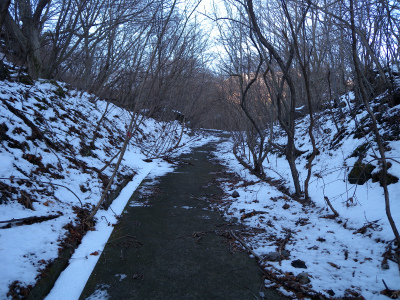 e0272335_19212423.jpg