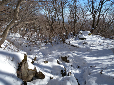 e0272335_1929089.jpg
